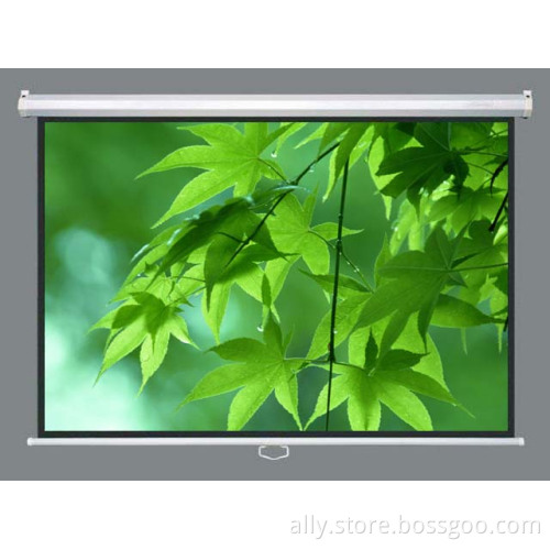 High Quality Manual Matte White Screen